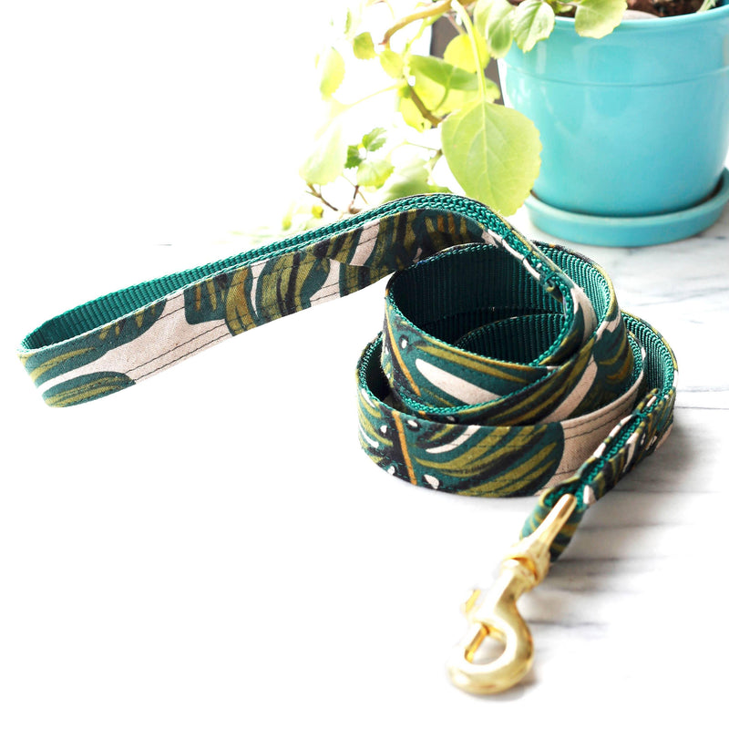 Rifle Paper Co 'Tropic' Monstera Canvas Dog Leash - Amela's Chamber